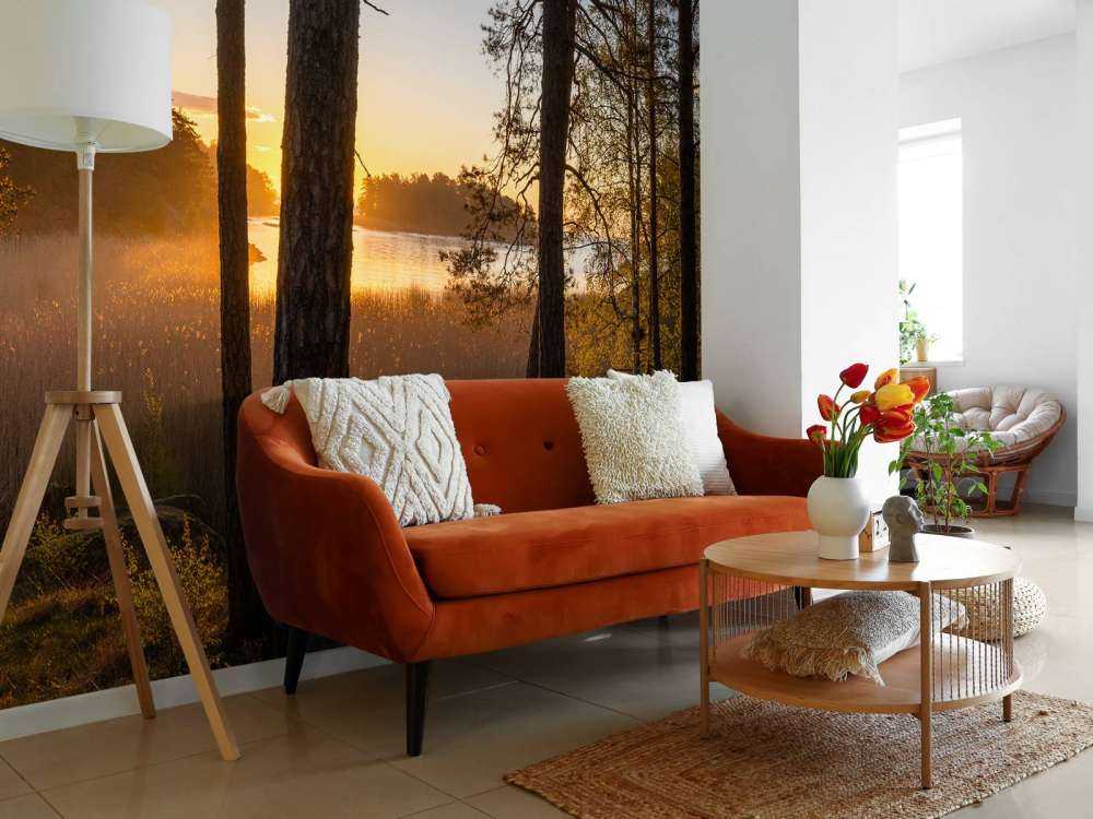 Las o zachodzie słońca