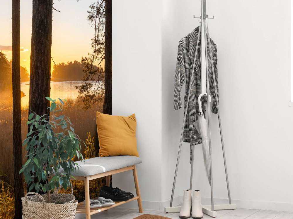 Las o zachodzie słońca