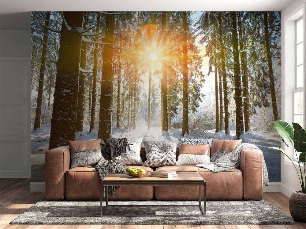 Światło słoneczne w zimowym lesie