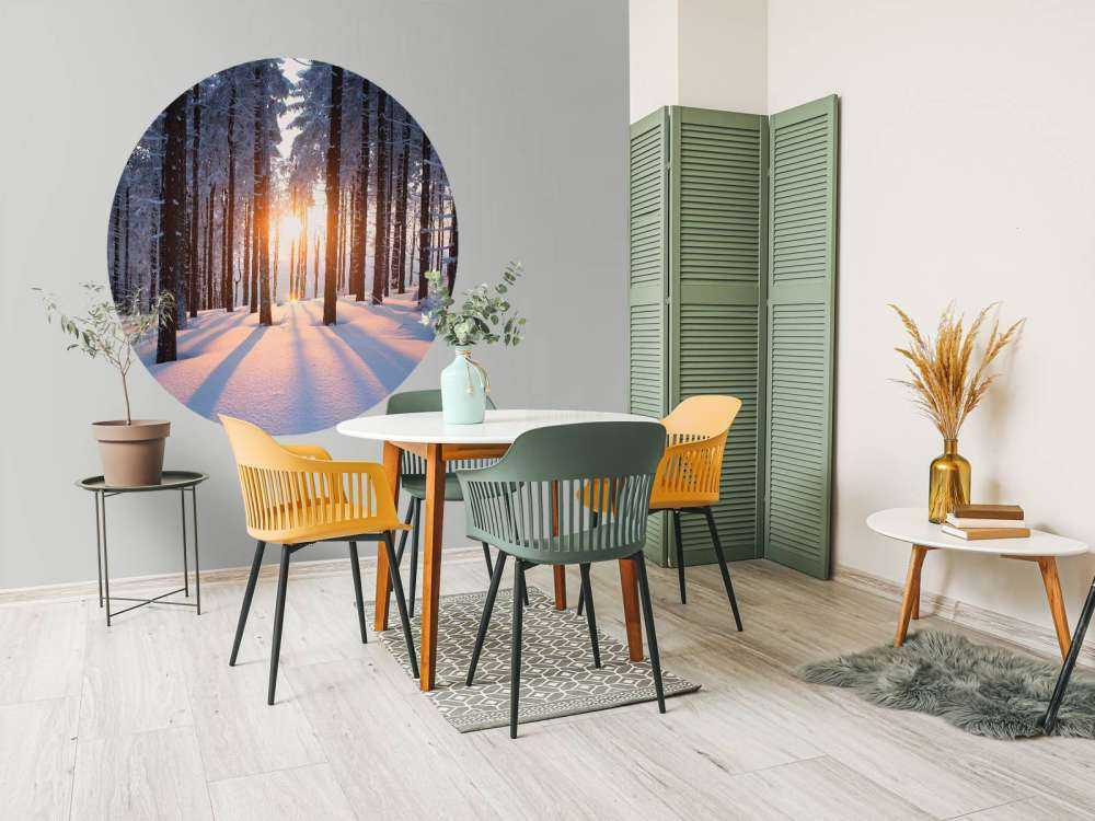 Zachód słońca w zimowym lesie