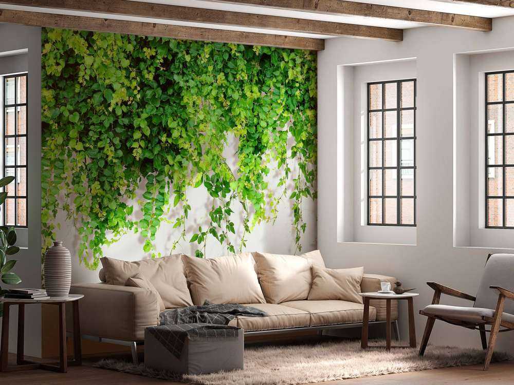 Zielone zwisające gałęzie