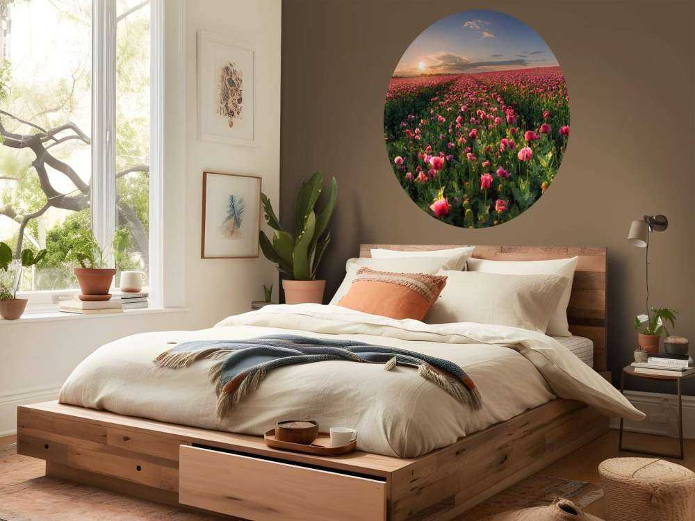 Pole różowych maków