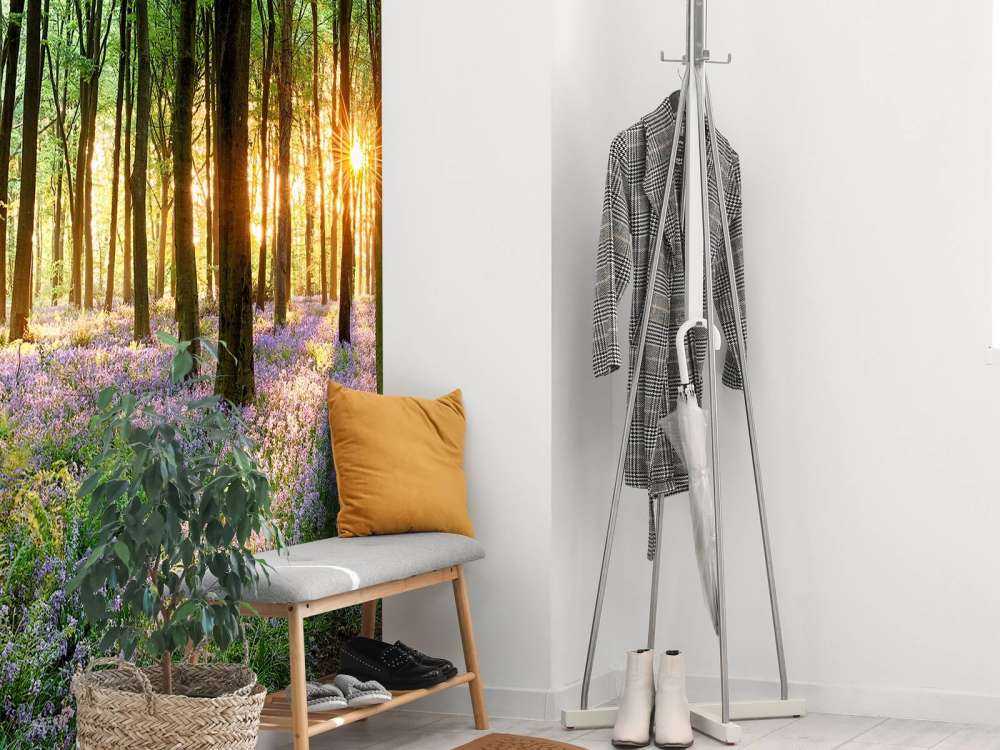 Leśna ścieżka o wschodzie słońca