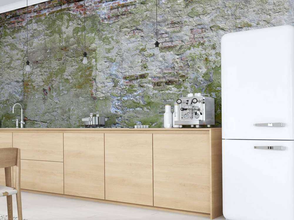 Mech na starej ścianie