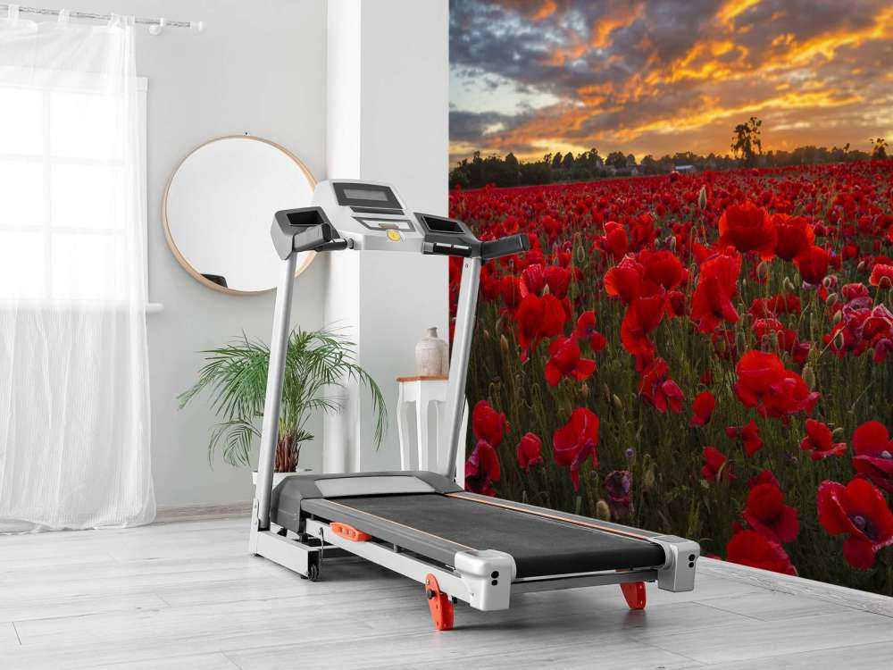 Pole maków z pięknym niebem