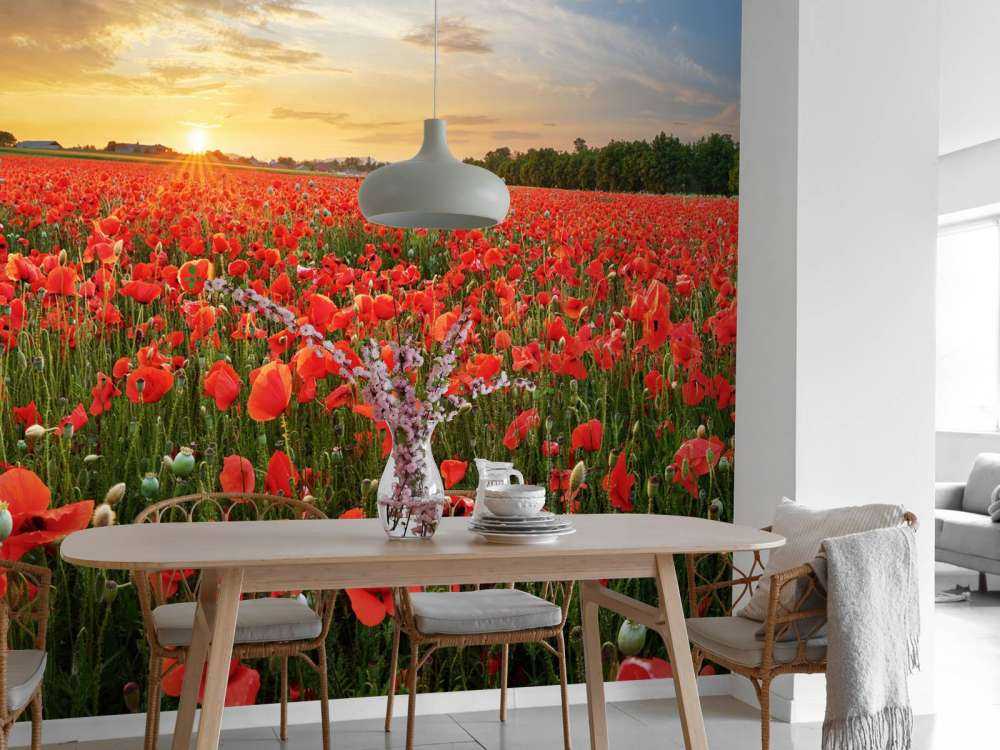 Zachód słońca z makami