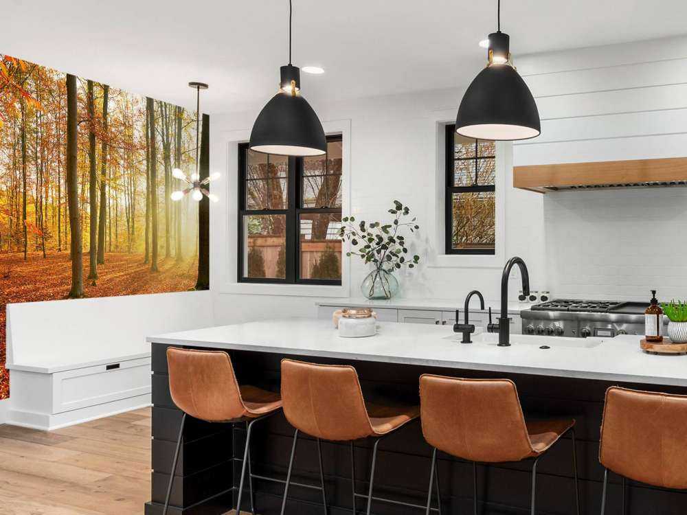 Jesienny poranek w lesie