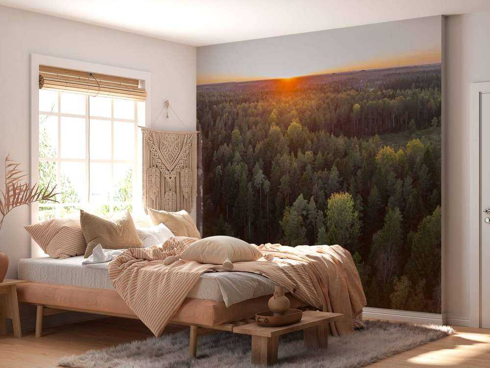 Zdjęcie lotnicze jesiennych drzew