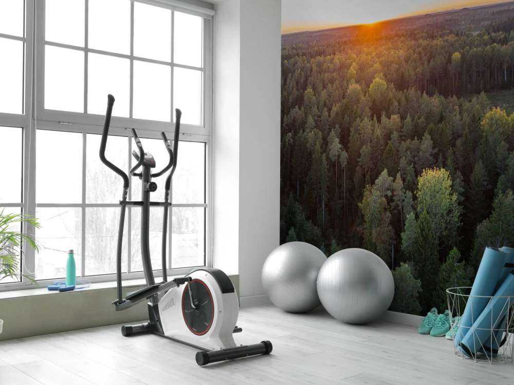 Zdjęcie lotnicze jesiennych drzew