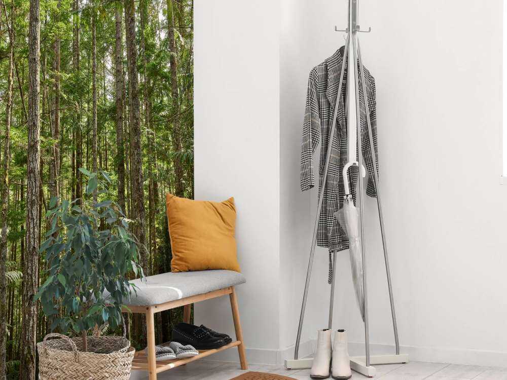 Cienkie drzewa w lesie