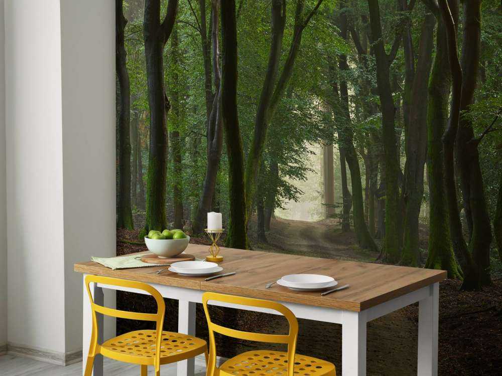 Droga piaskowa w lesie