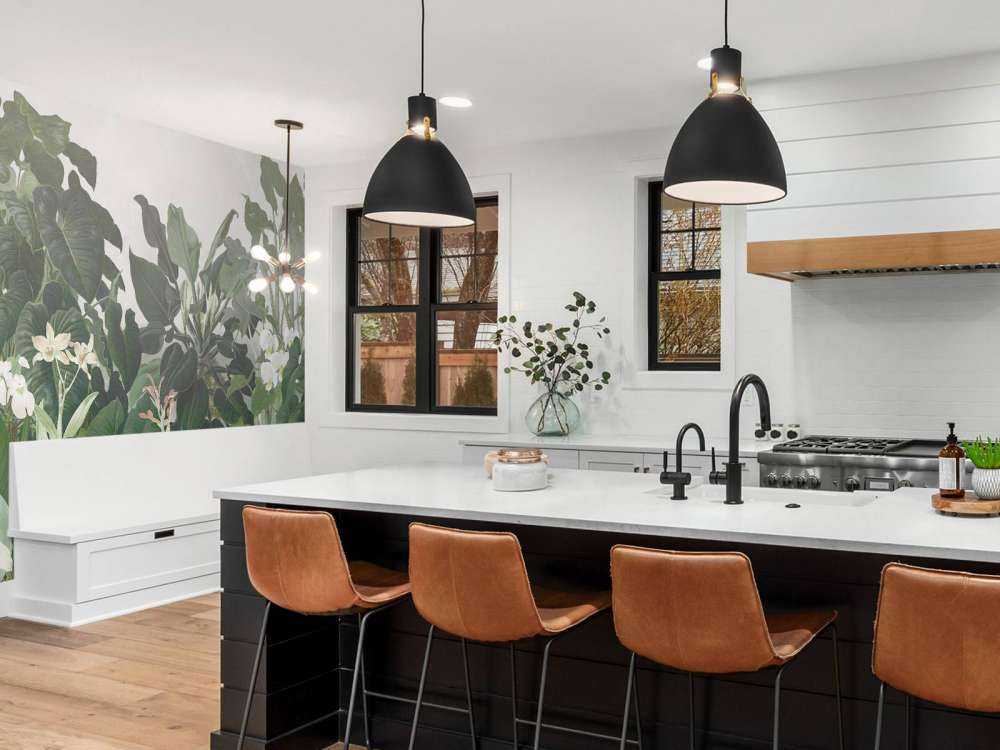 Walking to the Tropic 2