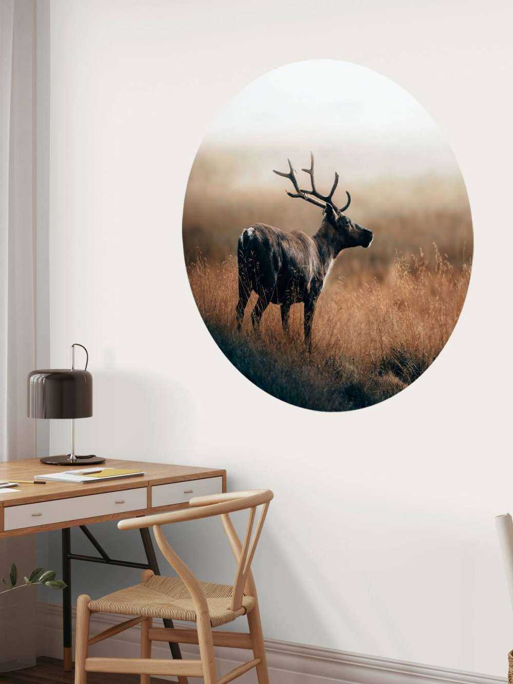 Renifer w wysokiej trawie