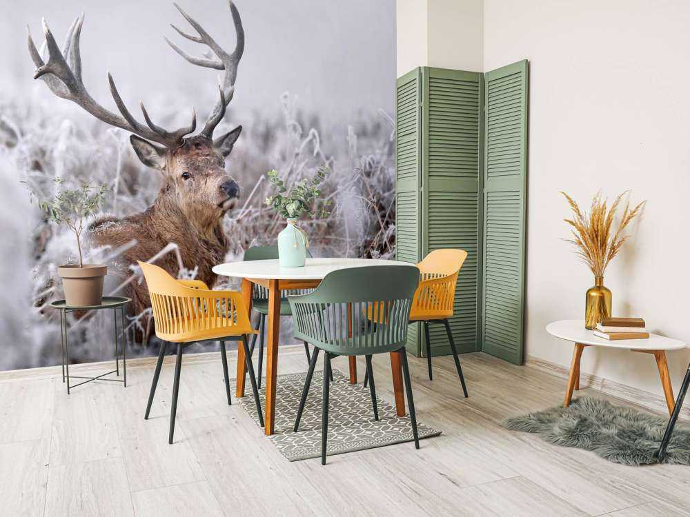 Zimowy sen jelenia szlachetnego