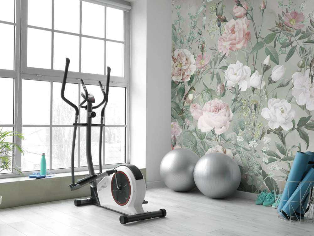 Ptaki w Różanym Ogrodzie