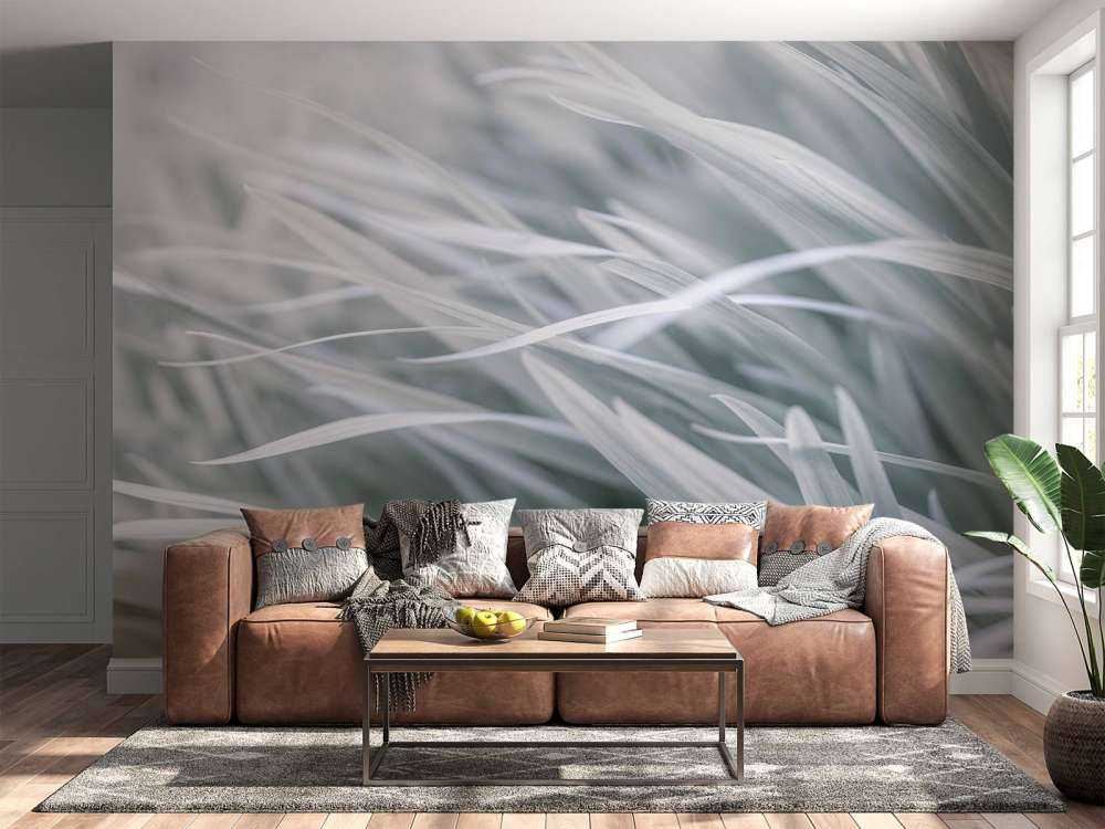 Zbliżenie na źdźbła trawy