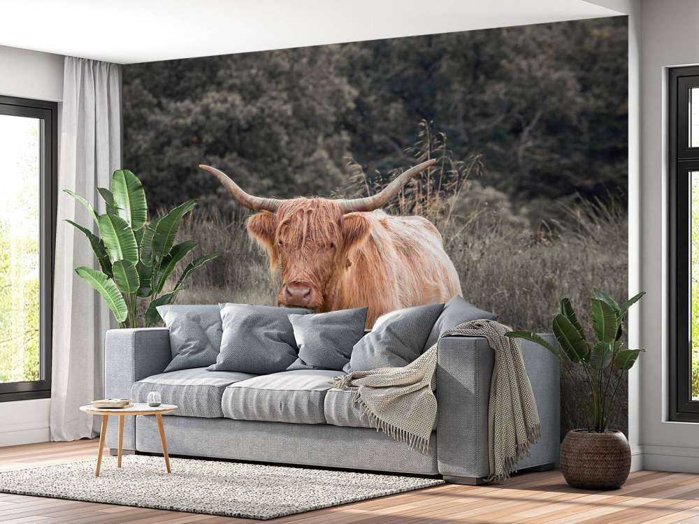 Szkocki wyżyn na polu