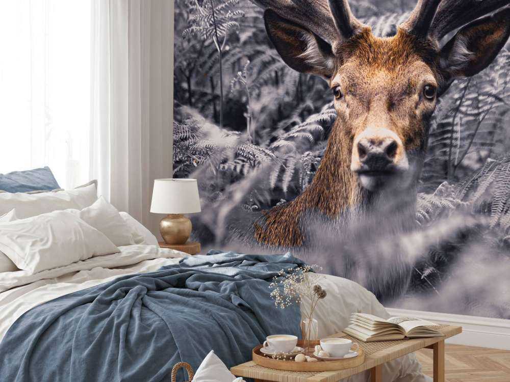 Zbliżenie na jelenia