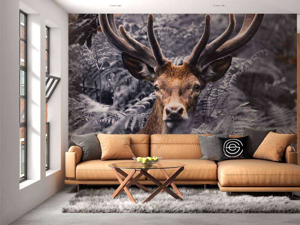 Zbliżenie na jelenia