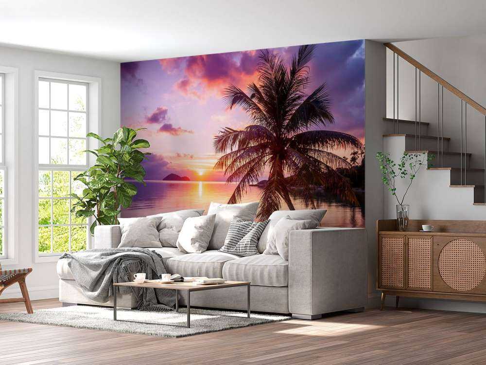 Palma przy zachodzie słońca