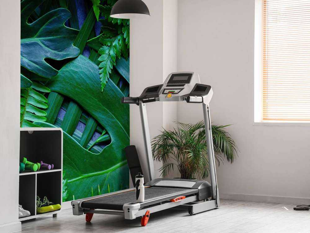 Zielone liście dżungli