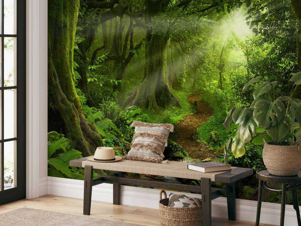 Tropikalna dżungla w świetle słońca