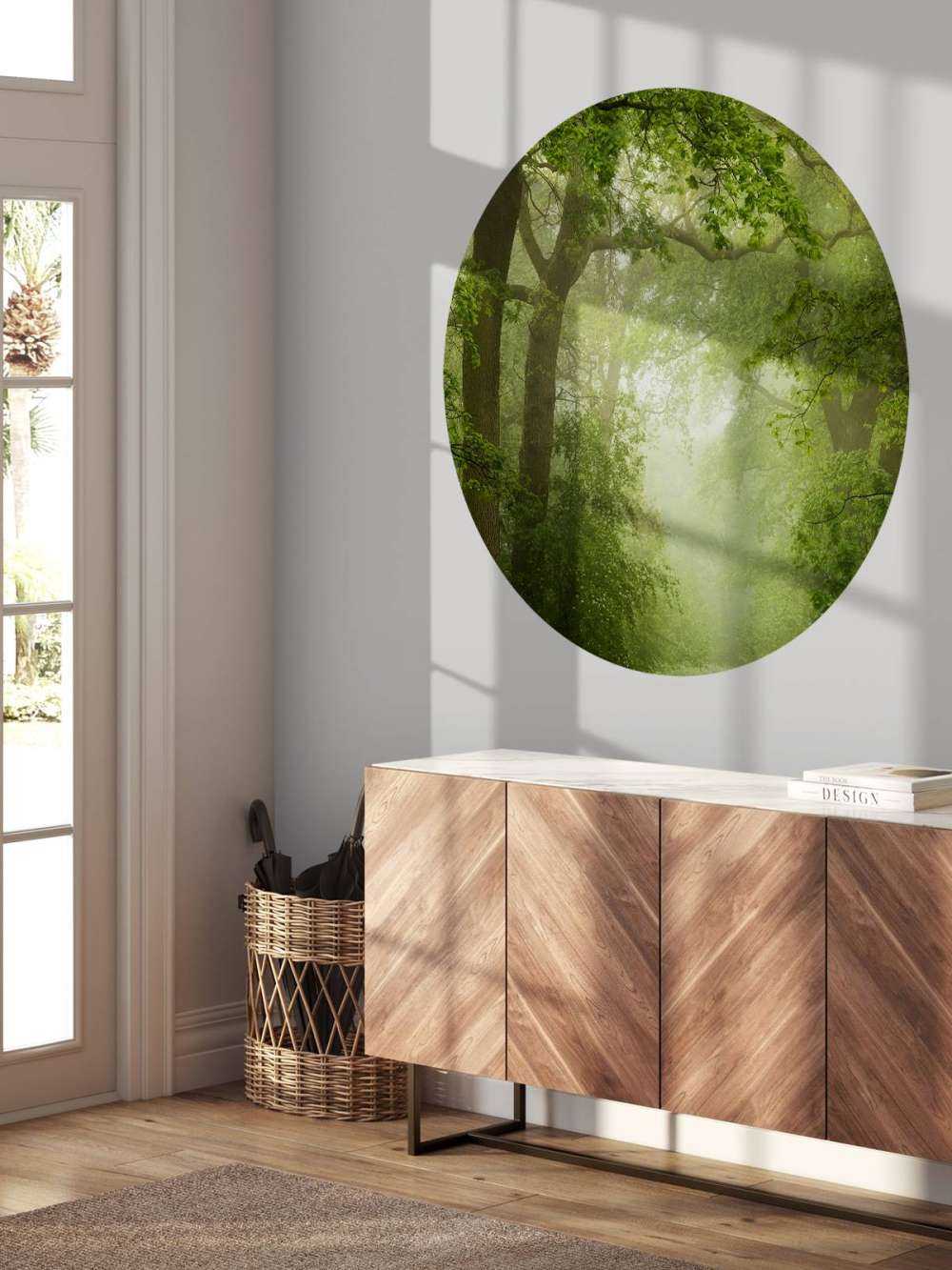 Leśna ścieżka we mgle