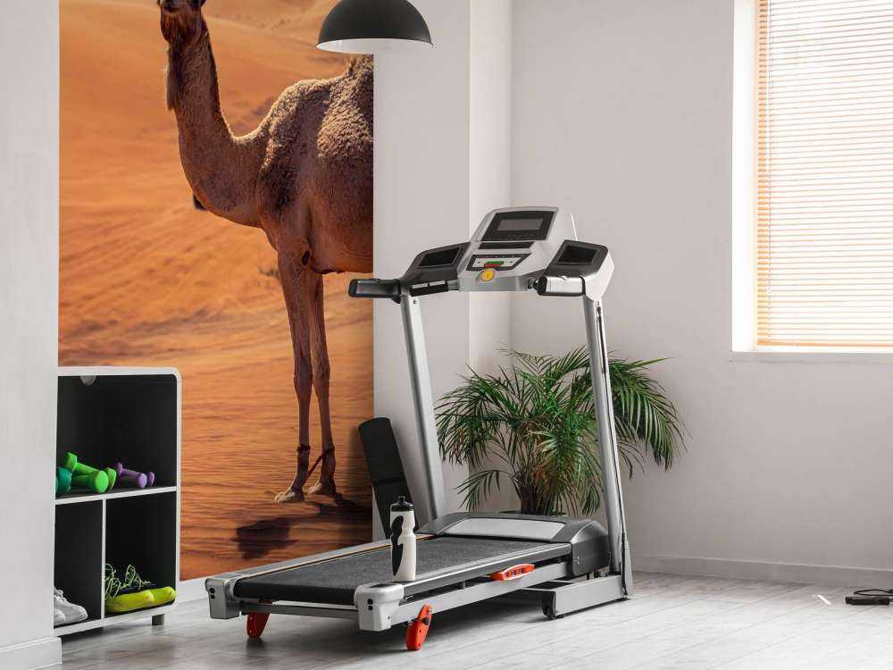 Przygoda offroad na pustyni