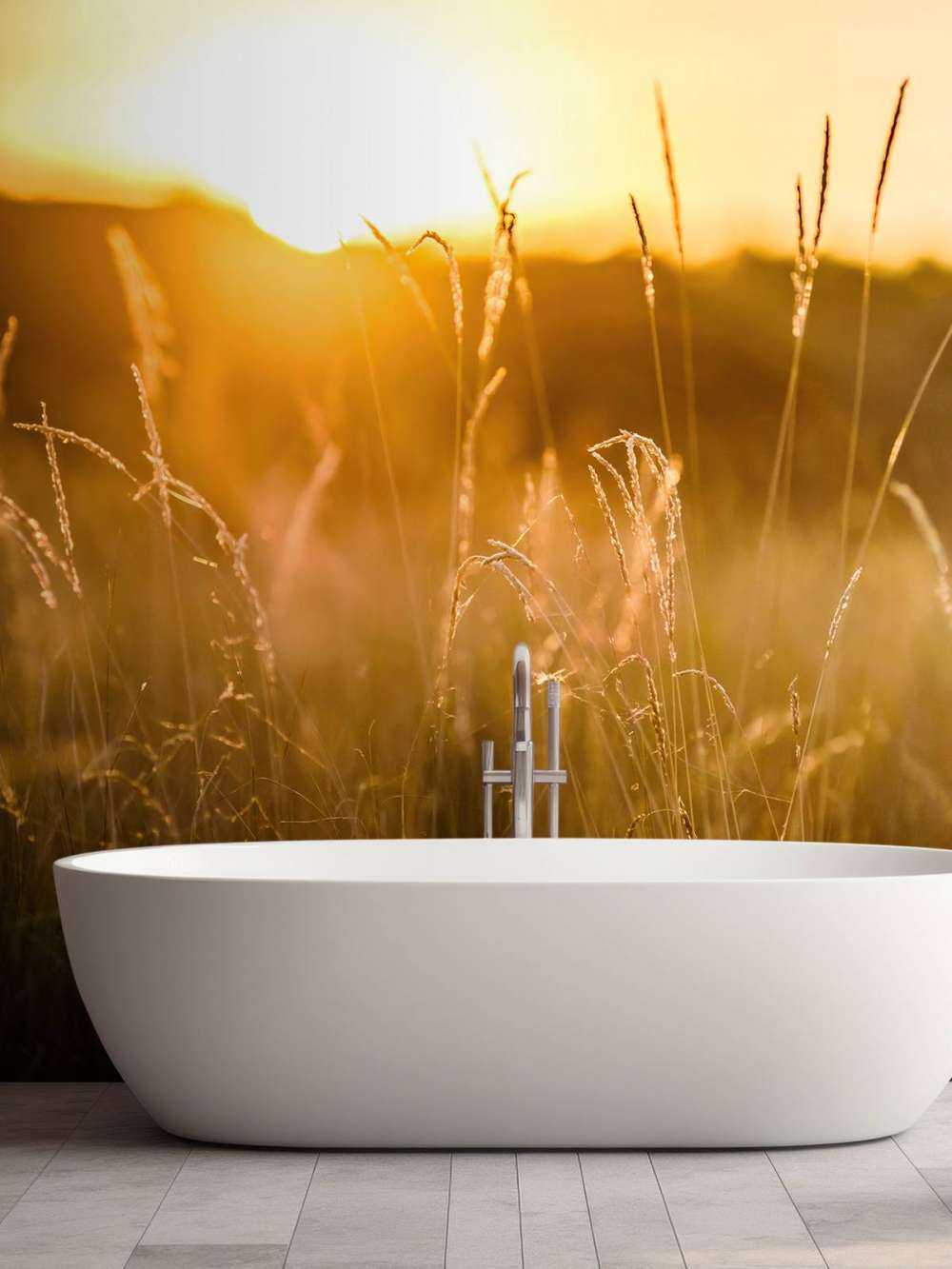 Zachód słońca między ziarnami