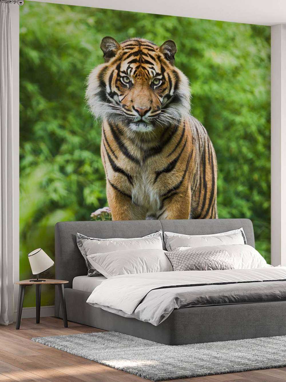 Tygrys stojący na kamieniu