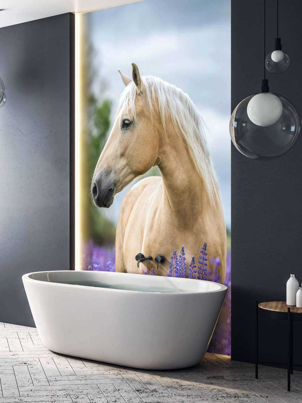 Koń między lawendą