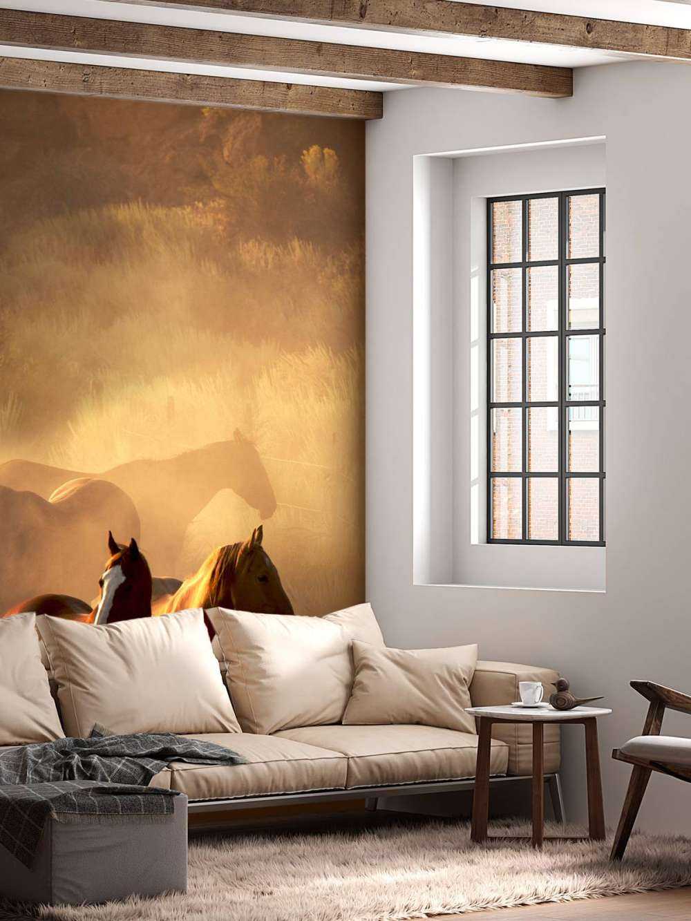 Konie podczas zachodu słońca