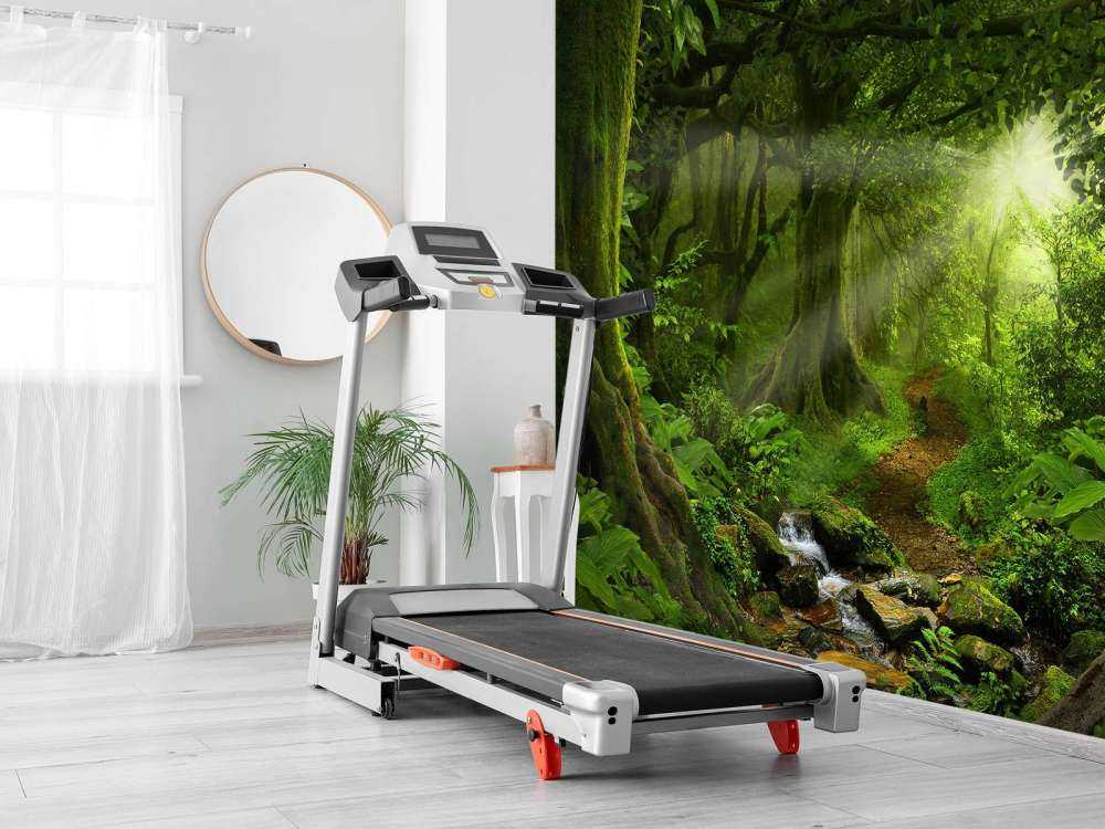 Tropikalna dżungla w świetle słońca