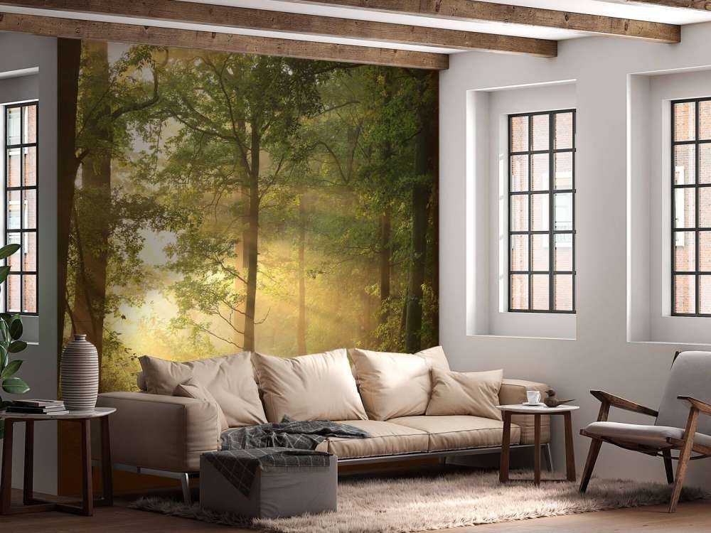 Mglisty wiosenny poranek