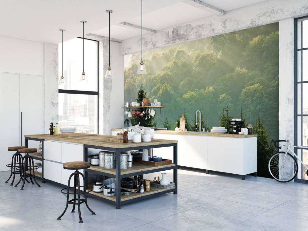 Promienie słońca nad lasem