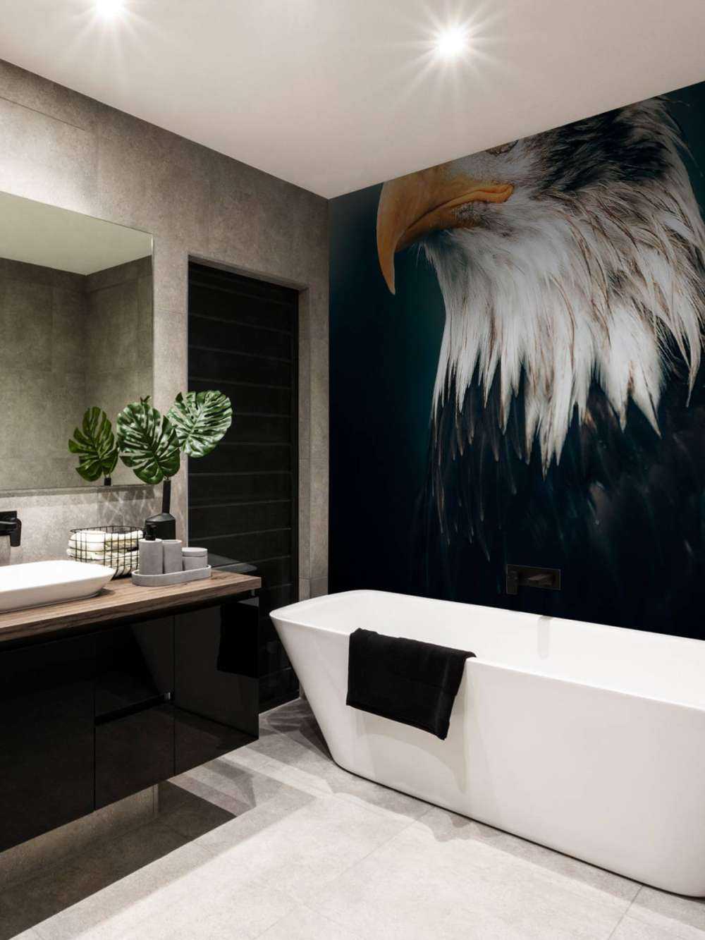 Orzeł morski w zbliżeniu