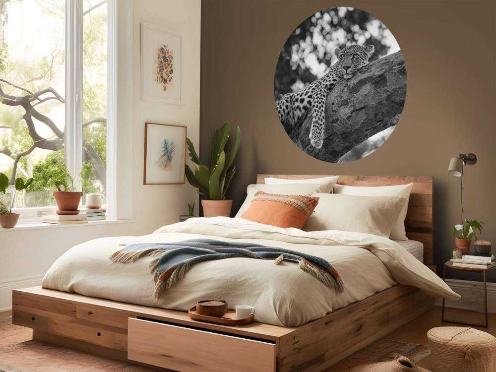 Odpoczywający lampart