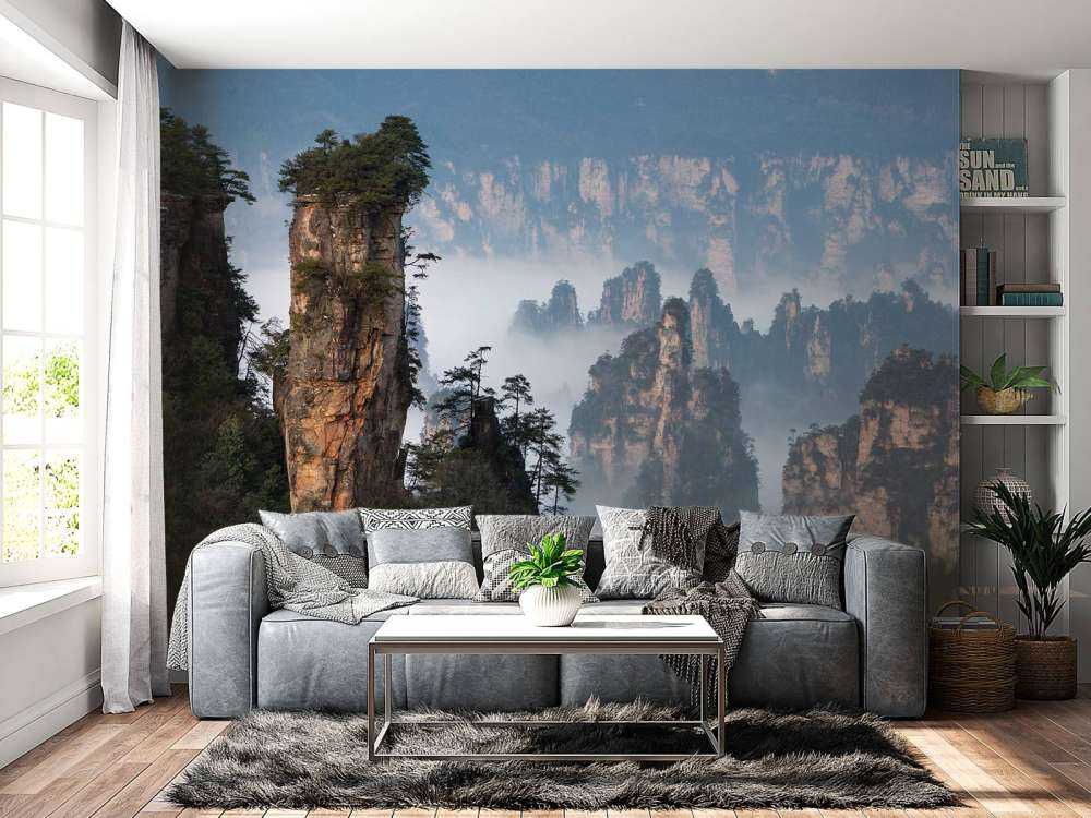 The general ordered the troops