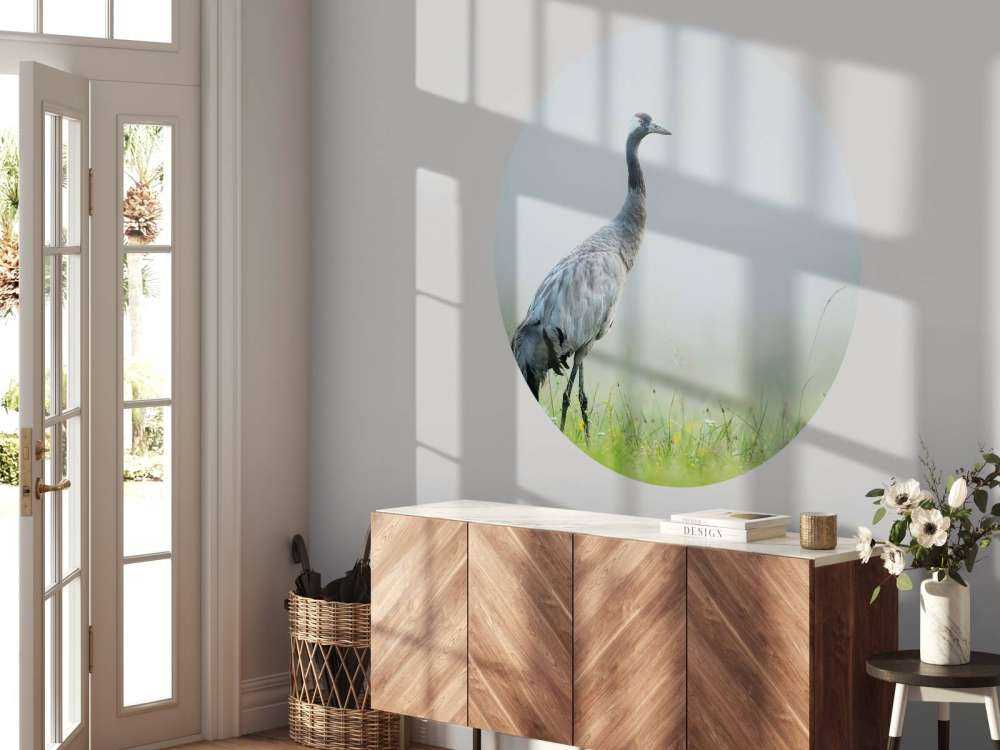 Żuraw w porannej mgle