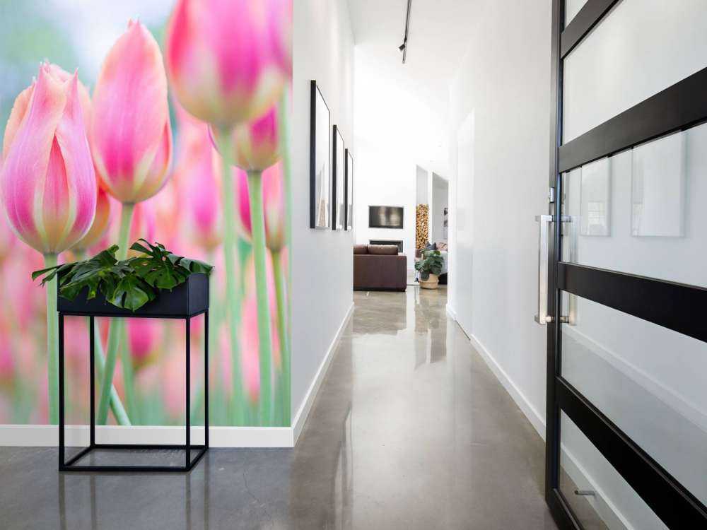 Zbliżenie na różowe tulipany