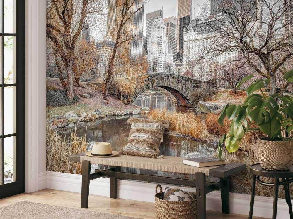 Park Centralny w zimie