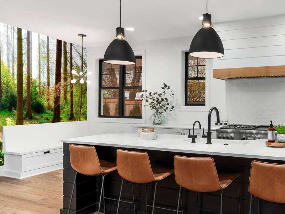 Jesienny las z jasnym światłem słonecznym