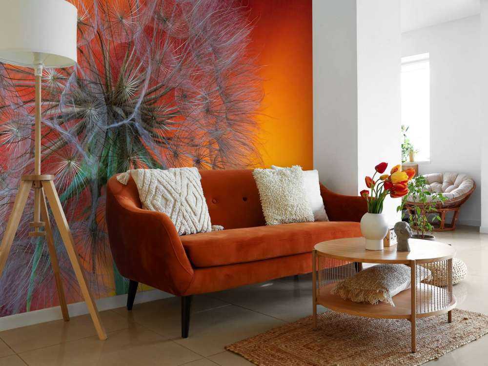 Zbliżenie na mniszka lekarskiego