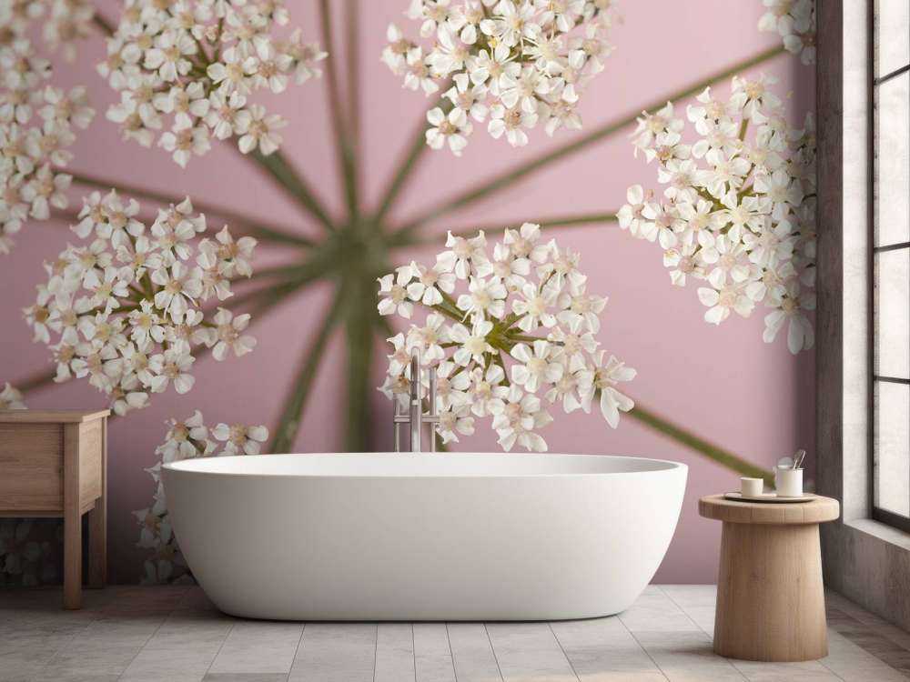 Pietruszka białej krowy