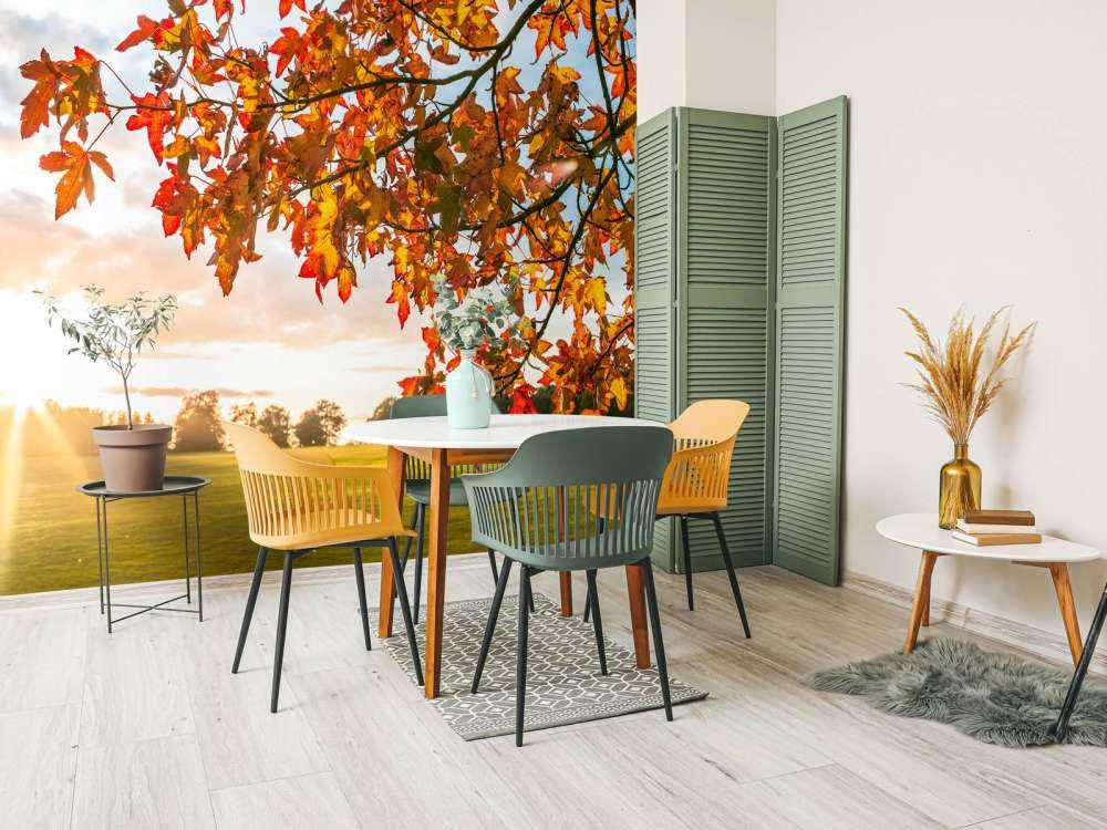 Jesienne drzewo o zachodzie słońca