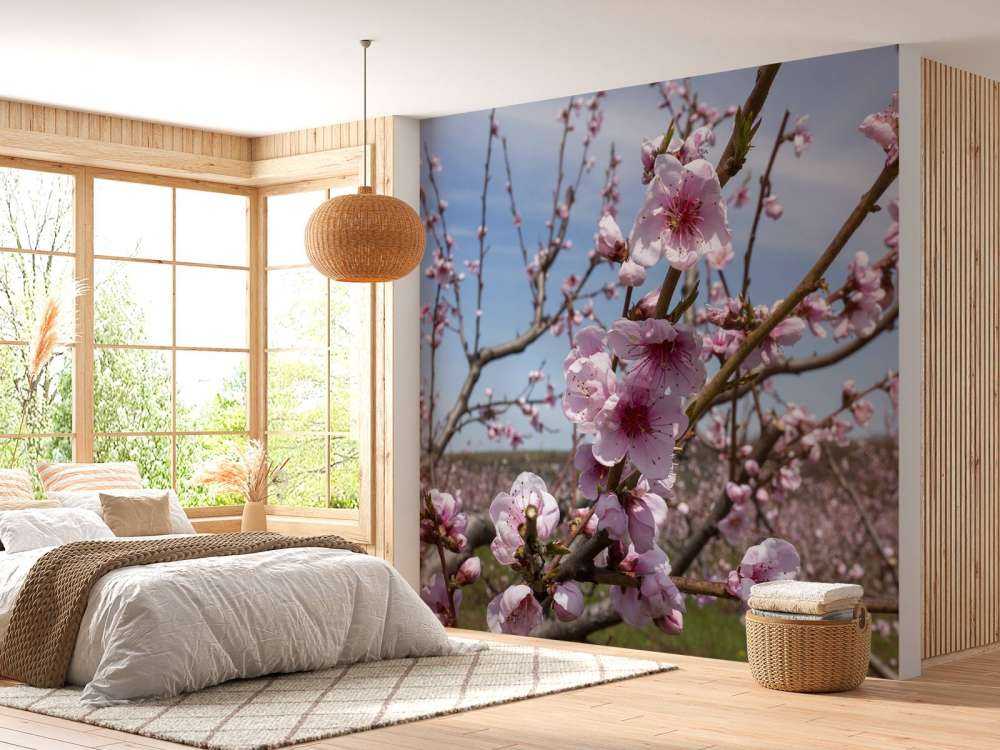 Kwiaty jasnoróżowe