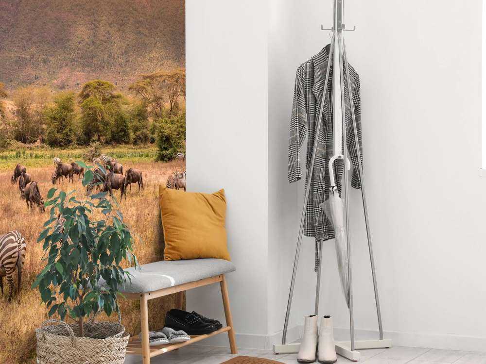 Krajobraz sawanny z zebrami