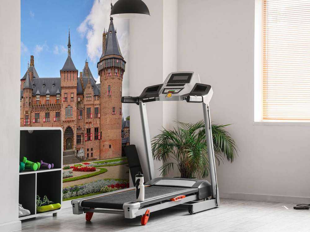 Zamek de Haar od frontu