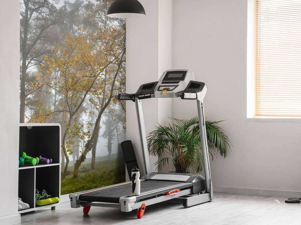 Pole trawiaste z drzewami i mgłą