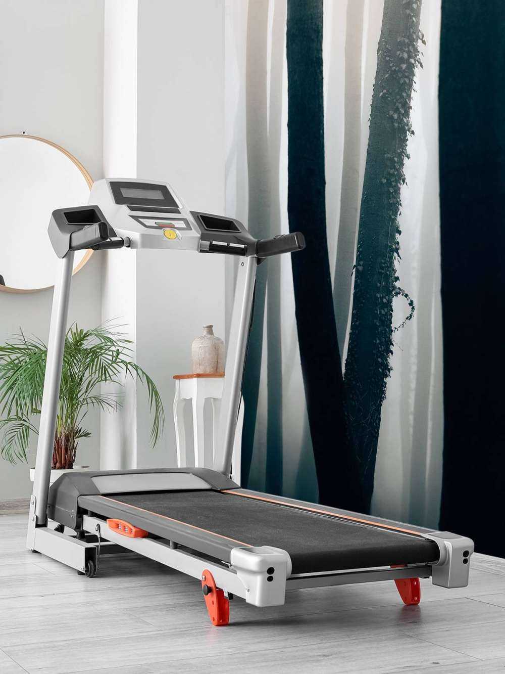 Mgła w lesie bukowym